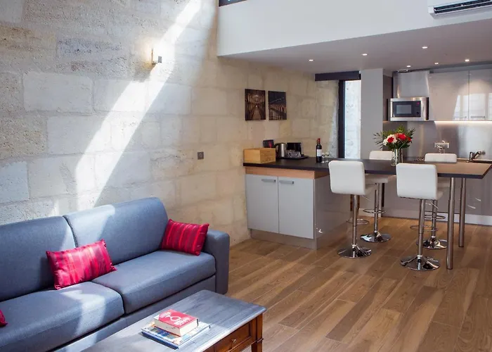 Climatise Avec Rooftop En Hypercentre Apartment