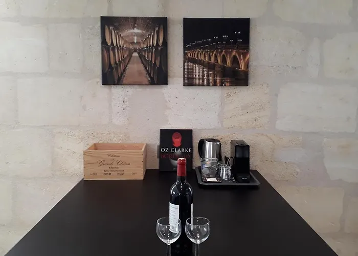 Apartment Climatise Avec Rooftop En Hypercentre Bordeaux